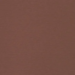 MAISON EXCLUSIVE - Auvent latéral rétractable de patio 140x300 cm marron