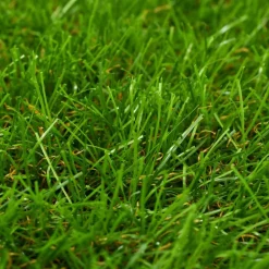 MAISON EXCLUSIVE - Gazon artificiel 1x8 m/40 mm vert