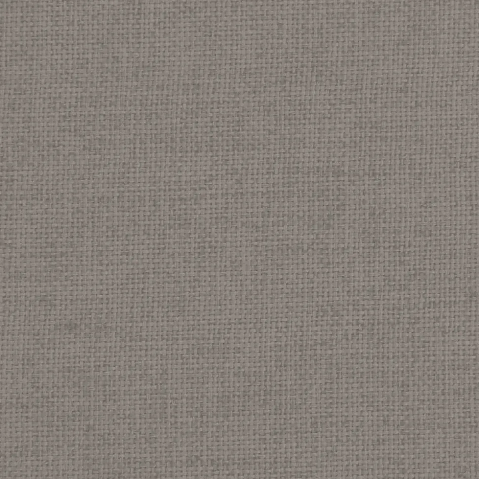 MAISON EXCLUSIVE - Lit pour chien taupe 70x45x30 cm tissu