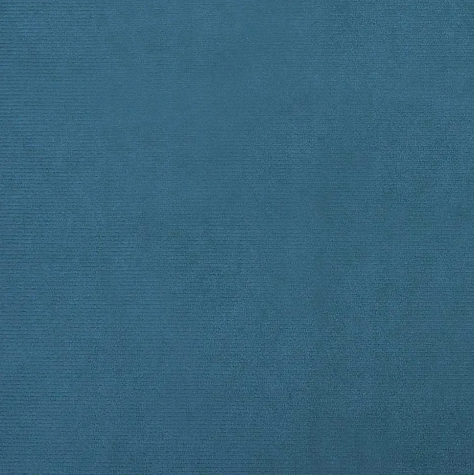 MAISON EXCLUSIVE - Lit pour chien bleu 100x54x33 cm velours