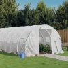 MAISON EXCLUSIVE - Serre avec cadre en acier blanc 42 m² 14x3x2 m