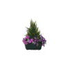 MARICHAL - Jardinière de cyprès/œillets/mini roses assortis, 25xH40cm (1,5kg)