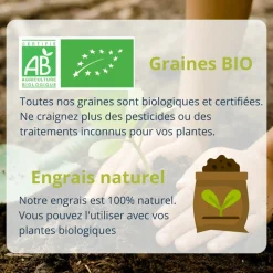 MES COURSES EN VRAC - Cultivea diy bombes de graines semis de fleurs à planter pour abeilles