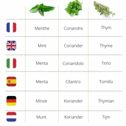 MES COURSES EN VRAC - Cultivea® kit prêt à pousser d’herbes aromatiques - menthe, coriandre, thym