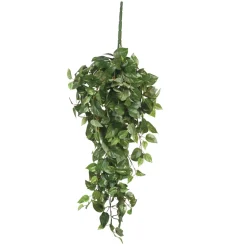 MICA - Chute de scindapsus, vert L. 80 x l. 30 x H. 15 cm