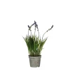 MICA - Plante artificielle lavande, coloris violet - H.30xD.8,5cm