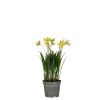 MICA - Plante artificielle jonquille, coloris jaune - H.26xD.8,5cm