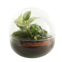 Mini Monde M Mix