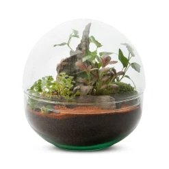 Mini Monde M Mix