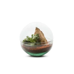 Mini Monde S Mix