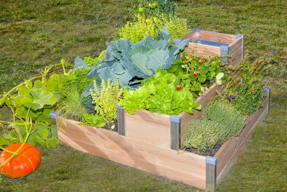 MON PETIT POTAGER - Carré potager autonome en bois Douglas L100 x l95 x H54 cm - Composteur intégré - Epaisseur 19mm
