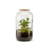 NATURALYS - Bonbonne classic M Ginseng