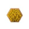NATURALYS - Stab lichen hexagonal jaune 16 x 16 cm
