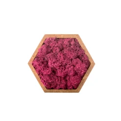 NATURALYS - Stab lichen hexagonal rose 16 x 16 cm