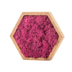 NATURALYS - Stab lichen hexagonal rose 16 x 16 cm
