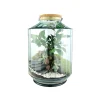 NATURALYS - Terrarium 'Napoli' L : D.25cm - H.37cm