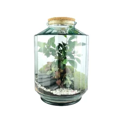 NATURALYS - Terrarium 'Napoli' L : D.25cm - H.37cm