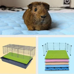 NEO SOLVO - Lot de 2 - tapis qui remplace la litière pour cochon d'inde et lapin - absorbant, imperméable, passe en machine 60 x 50 cm