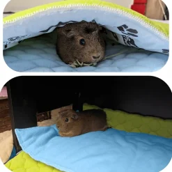NEO SOLVO - Tapis pour cochon d'inde et lapin en polaire - 120 x 60 cm - polaire absorbant, lavable en machine, economique et ecologique