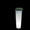 NEWGARDEN - Pot lumineux ficus 60 lumière blanche froide par câble ø29x59cm