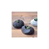 NOTED - Kit cactus pot en pierre