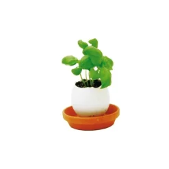 NOTED - Oeuf kit basilic
