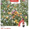NOVA-FLORE - Mélange fleuri " Mélange Durable " 60 g -