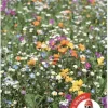 NOVA-FLORE - Prairies fleuries : prairie durable - 30m²