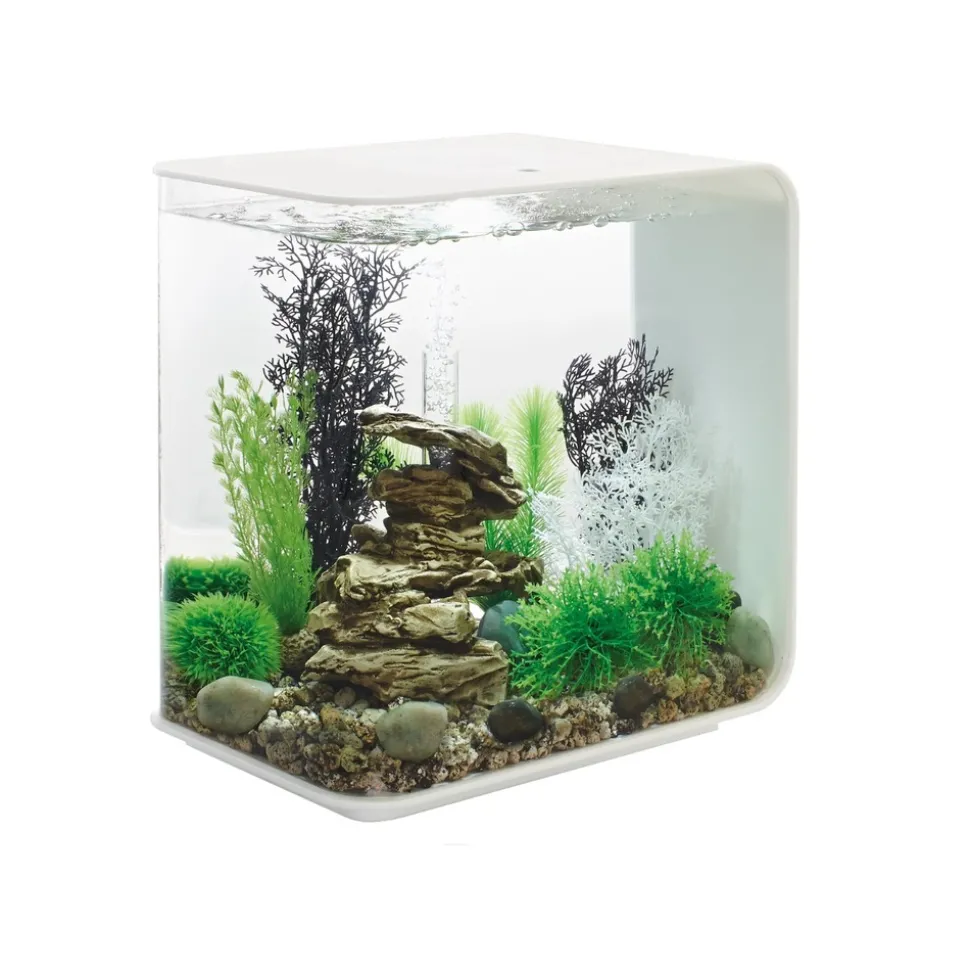 Oase aquarium décoratif 30l mcr avec cadre blanc - flow30mcr white