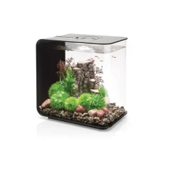 Oase aquarium décoratif 30l led avec cadre noir - flow 30 led black