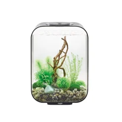 Oase aquarium 15l led noir - life 15 led black