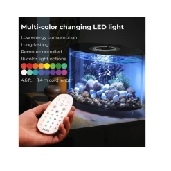 Oase aquarium long 15l contours noir - loop 15 mcr black
