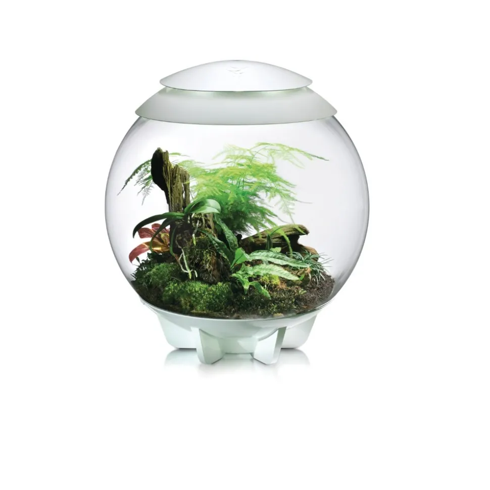 Oase terrarium décoratif 60l avec cadre blanc - air 60 white