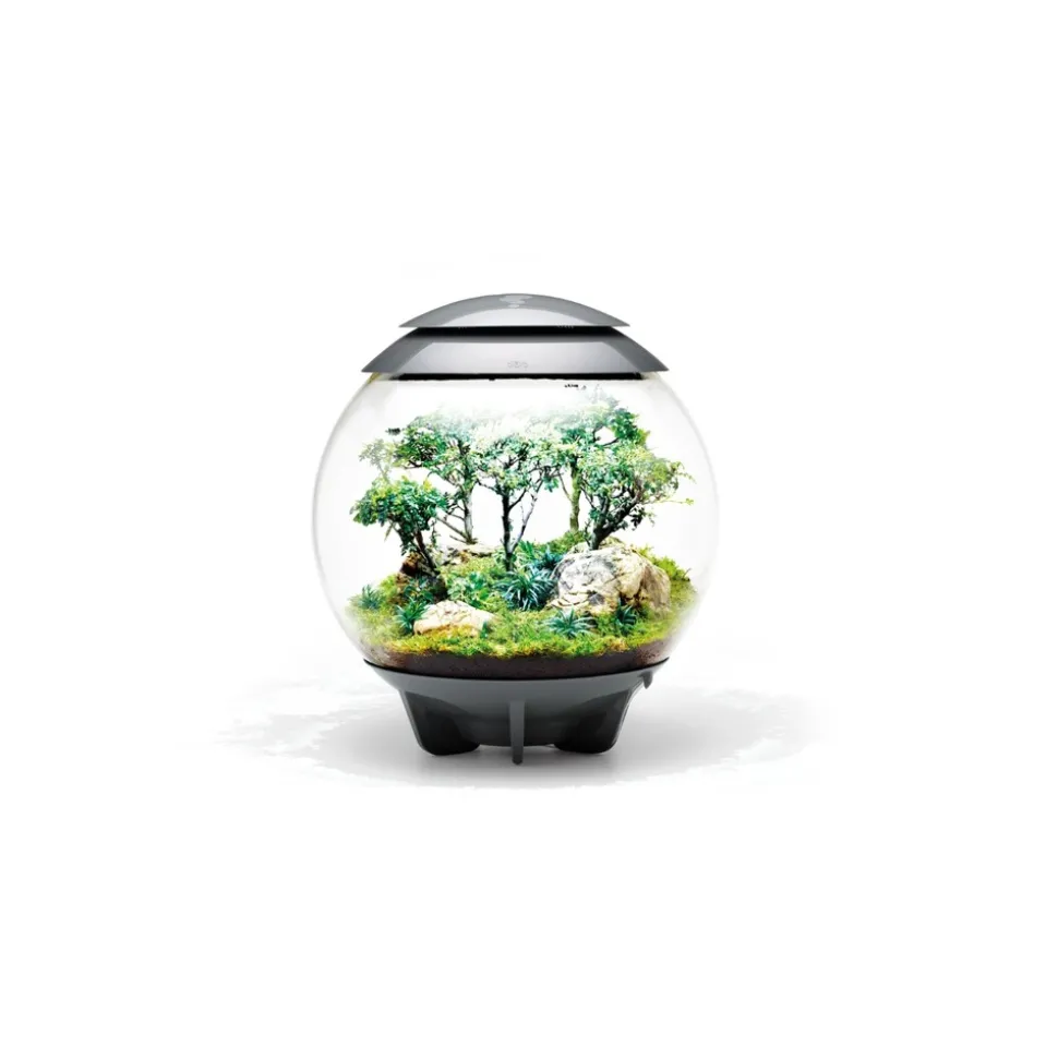 Oase terrarium décoratif 60l avec cadre gris - air 60 grey