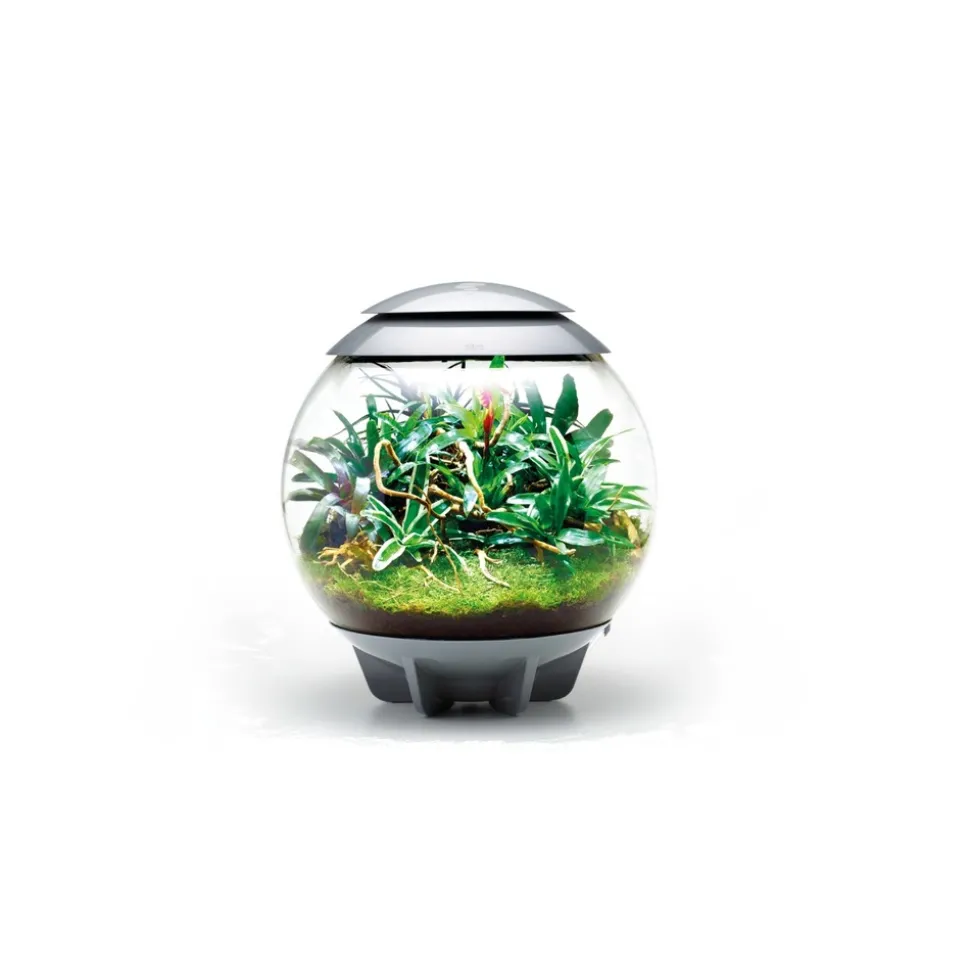 Oase terrarium décoratif 60l avec cadre gris - air 60 grey