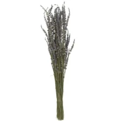 PARIS PRIX - Bouquet de fleurs séchées "lavande" 73cm mauve