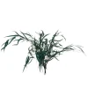 PARIS PRIX - Bouquet d'eucalyptus "sauvage séché" 75cm vert