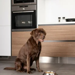 PARIS PRIX - Gamelle pour chien & chat 