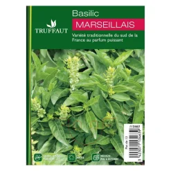 Plant de basilic 'Marseillais' : pot de 1 litre