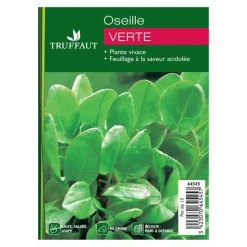 Plant d'oseille verte : pot de 1 litre