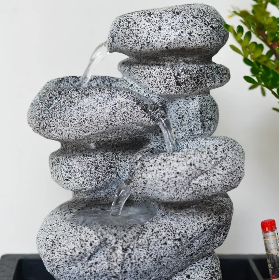 PLANT IN A BOX - Bonsaï - bonsai - hauteur 25-35cm - ⌀29cm