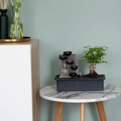 PLANT IN A BOX - Bonsaï - bonsai - hauteur 25-35cm - ⌀29cm