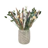 PLANT IN A BOX - Fleurs séchées - bouquet 'trendy comfort'