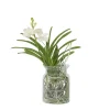 PLANT IN A BOX - Orchidée - vanda 'white' - hauteur 40-50cm - ⌀14cm