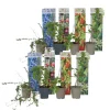 PLANT IN A BOX - Plantes fruitières - set de 8 - actinidia, vaccinium, lycium - h25-40cm - ⌀9cm