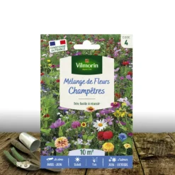 PLANTES AVENUE - Graines en mélange de fleurs - fleurs champêtres/[-]sachet - 10 m²