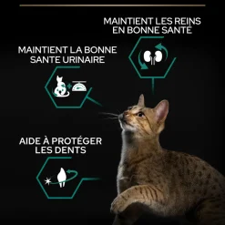 PROPLAN - Croquettes chat adulte stérilisé au saumon Super Premium - 3 kg