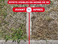 PROTECT EXPERT - Protect expert désherbant ultra concentré - cours allées terrasses - agit sous 3h - 400ml - jusqu鈥² traités procouru400