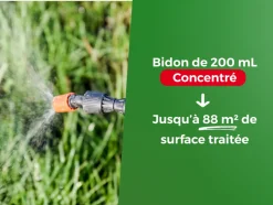 PROTECT EXPERT - Protect Expert désherbant concentré gazon 鈥², action localisée contre mauvaises herbes, avec bidon doseur