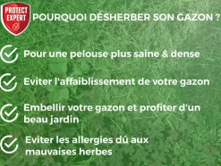 PROTECT EXPERT - Protect expert 2 désherbants concentrés localisés contre les mauvaises herbes du gazon - 2x200ml - soit 176m² - non sélectif